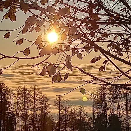 Apartman Berg-panorama-ferienwohnungen Gut-lichtenau Hauzenberg