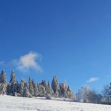 Berg-panorama-ferienwohnungen Gut-lichtenau Hauzenberg