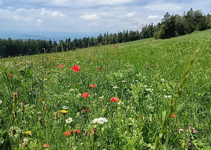 Berg-panorama-ferienwohnungen Gut-lichtenau