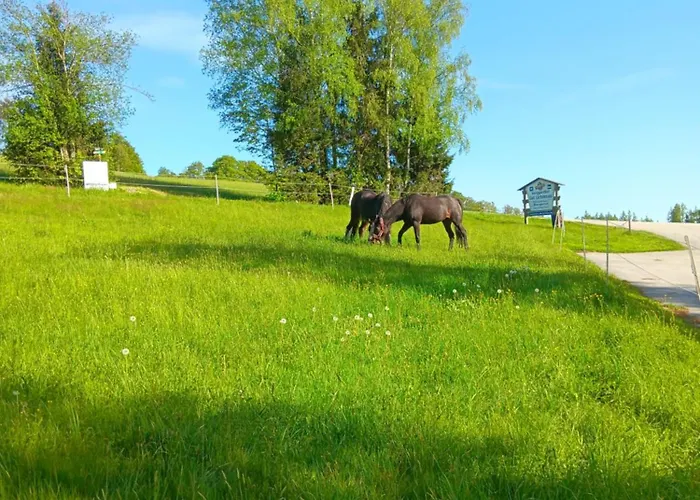 Berg-panorama-ferienwohnungen Gut-lichtenau