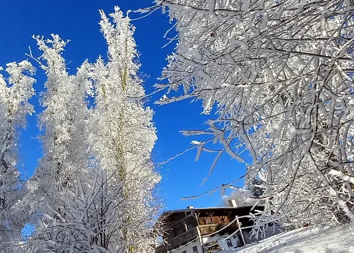 Apartman Berg-panorama-ferienwohnungen Gut-lichtenau Hauzenberg