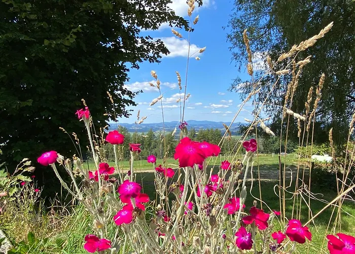Berg-panorama-ferienwohnungen Gut-lichtenau Hauzenberg