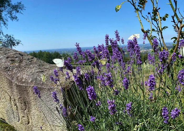 Apartman Berg-panorama-ferienwohnungen Gut-lichtenau *