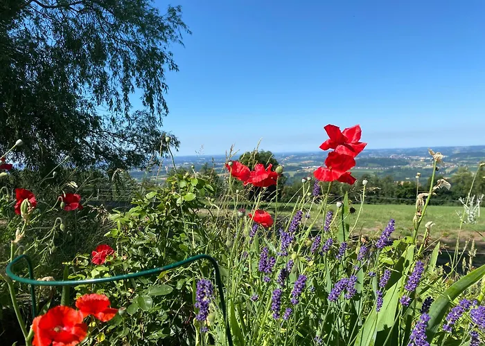 Berg-panorama-ferienwohnungen Gut-lichtenau Hauzenberg
