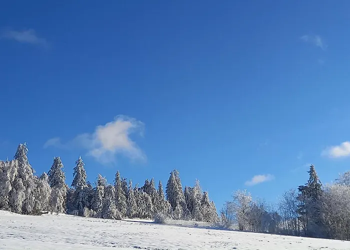 Berg-panorama-ferienwohnungen Gut-lichtenau Hauzenberg
