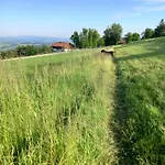 Lejlighed Berg-panorama-ferienwohnungen Gut-lichtenau *
