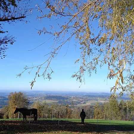 Berg-panorama-ferienwohnungen Gut-lichtenau