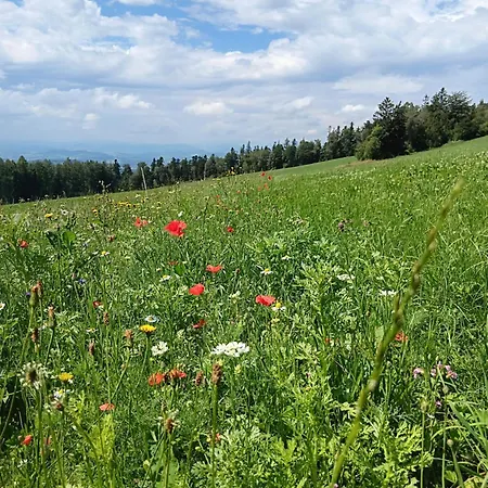 Berg-panorama-ferienwohnungen Gut-lichtenau