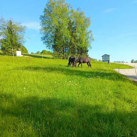 Berg-panorama-ferienwohnungen Gut-lichtenau