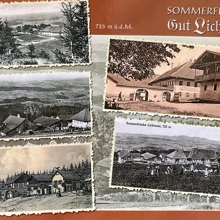 Berg-panorama-ferienwohnungen Gut-lichtenau Apartment