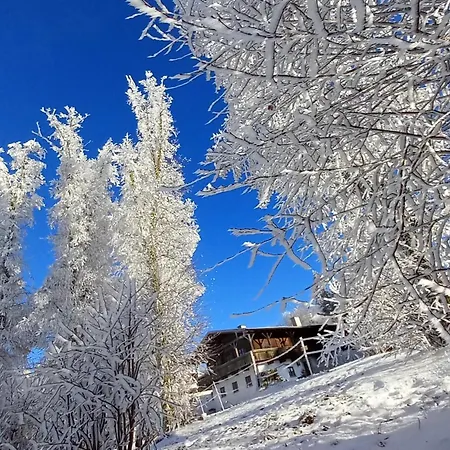 Appartement Berg-panorama-ferienwohnungen Gut-lichtenau Hauzenberg