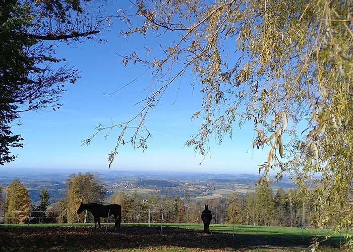 Berg-panorama-ferienwohnungen Gut-lichtenau