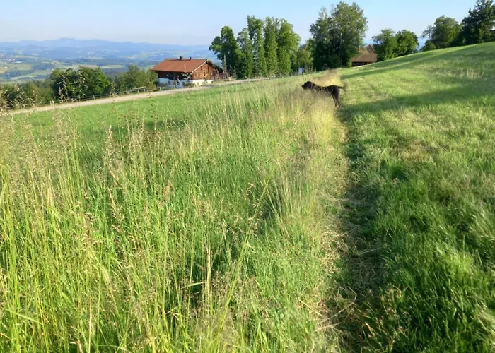 Apartment Berg-panorama-ferienwohnungen Gut-lichtenau *
